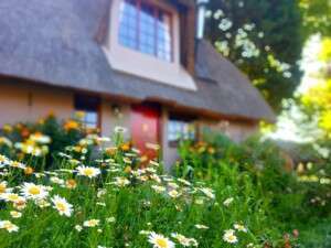 Luxury Accommodation, Midlands, Meander, Natal Kwa-Zulu