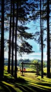 Luxury Accommodation, Midlands, Meander, Natal Kwa-Zulu