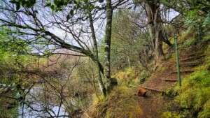 Luxury Accommodation, Midlands, Meander, Natal Kwa-Zulu